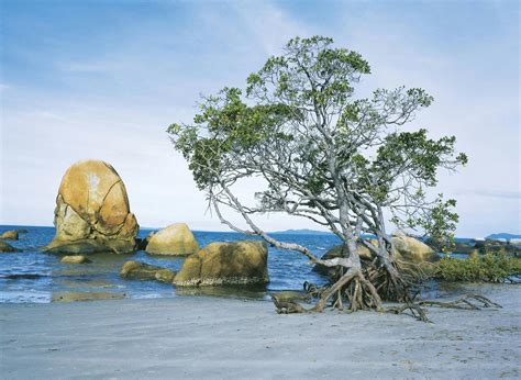 Lockhart River | Cairns & Great Barrier Reef