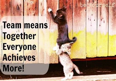 #team Together Everyone Achieves More #character | Team quotes, Team motivational quotes ...