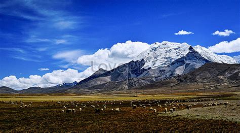 Telebisyon Talampas Sa Tibet Larawan_Numero ng Larawan_Format ng ...