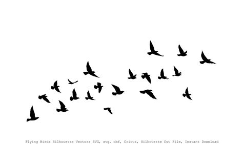 Bird Svg File Birds Svg Files For Cricut Silhouette B - vrogue.co