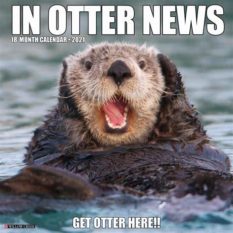 Willow Creek Press In Otter News 2021 Calendar, Large | Funny animal jokes, Animal jokes, Funny ...