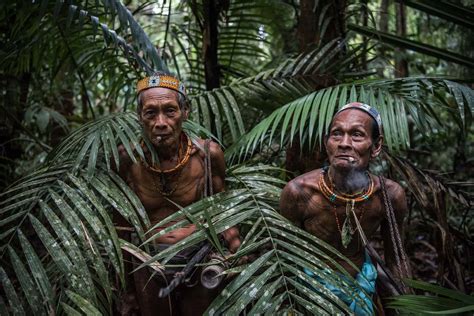 8 Indigenous Tribes of Indonesia - Characteristics - FactsofIndonesia.com