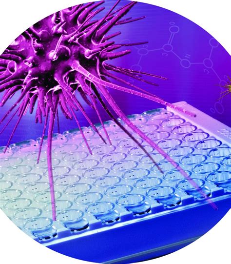 HS-Human IFN-Beta ELISA Autoimmune Sera Validation Study | PBL Assay Science