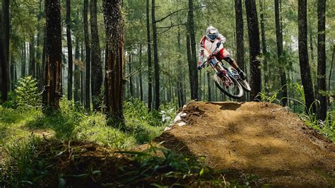 Mountain Biking | 24 best free mountain biking, forest, bike and ...