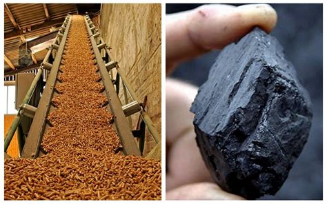 Pellets from biomass pellet press vs coal, which one is better for fuel ...