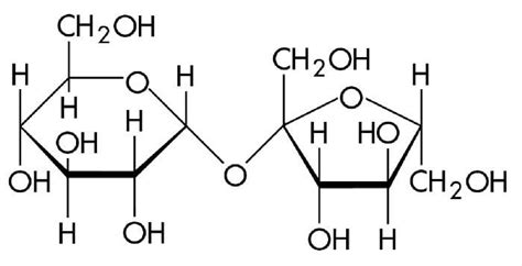 evidencia Mente Excelente peso molecular de la sacarosa amenazar Lengua ...