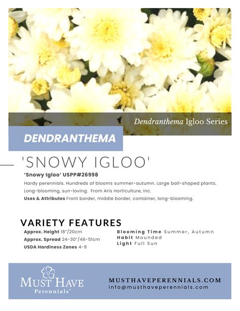 ‘Snowy Igloo’ – Must Have Perennials