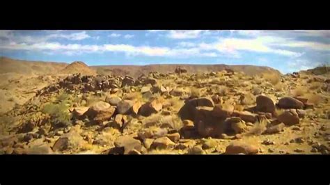 The beauty of the semi-arid desert - YouTube