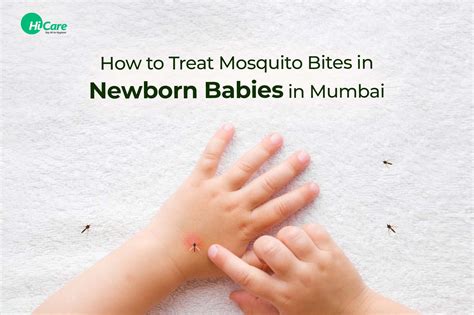 Best Tips to Treat Mosquito Bites in Newborn Babies | HiCare