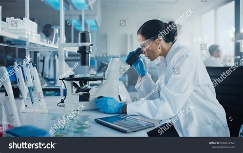 492,827 Scientist In Laboratory Images, Stock Photos & Vectors ...