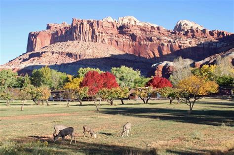 Fall in Fruita Utah – Steve Garrett Photos