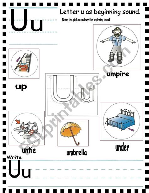 Worksheet For Letter Uu