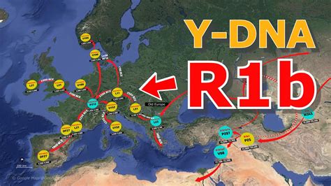 How did the Y-DNA Haplogroup R1b become European(Human Migration)? - YouTube