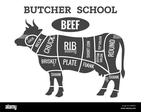 Cow butcher diagram. Cutting beef meat or steak cuts diagram chart for restaurant poster vector ...