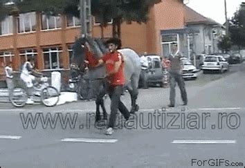 Horse-kicks-jerk