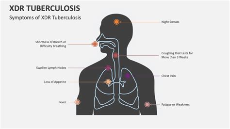 XDR Tuberculosis PowerPoint and Google Slides Template - PPT Slides