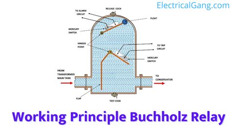 Buchholz Relay in Transformers | The Definitive Guide