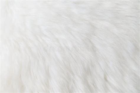 96,037 White Fluffy Texture Photos - Free & Royalty-Free Stock Photos from Dreamstime