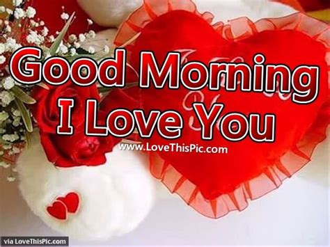 Good Morning I Love You Pictures, Photos, and Images for Facebook, Tumblr, Pinterest, and Twitter