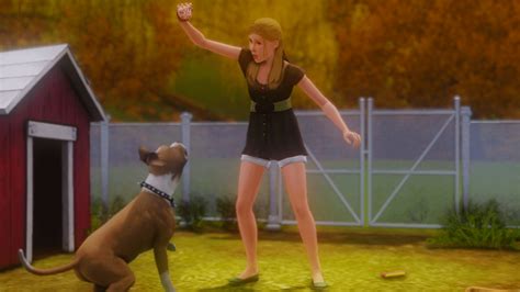 Some recent gameplay shots : r/Sims3