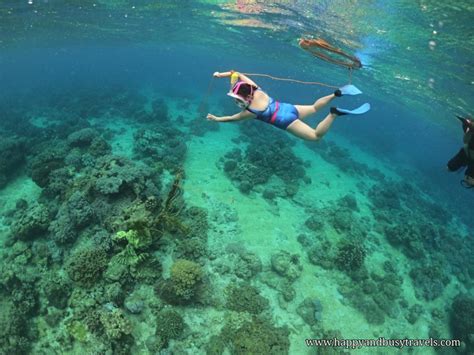 Snorkeling Around Apo Island, Philippines - Happy and Busy Travels