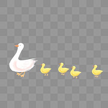 A Mother Duck And Her Ducklings Protect Little Feather Vector, Protect ...