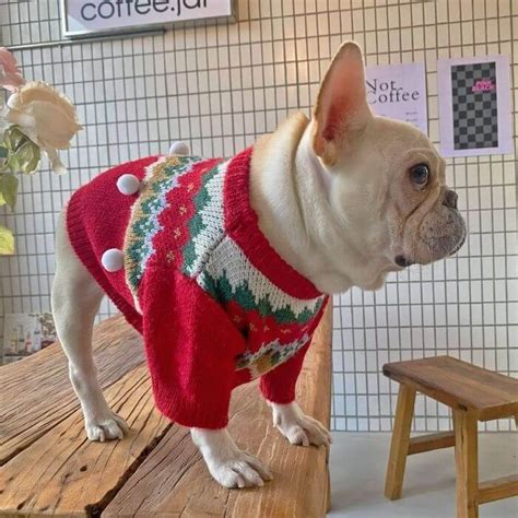 Dog Christmas Tree Outfits – Frenchiely