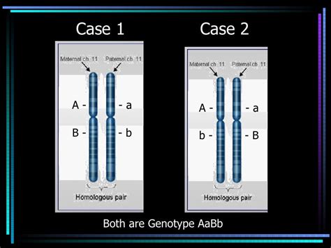 Genetic Linkage