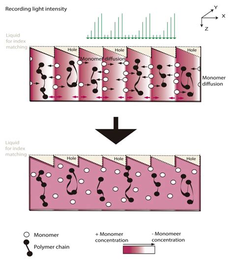 Materials | Special Issue : Photopolymers for Holographic Applications