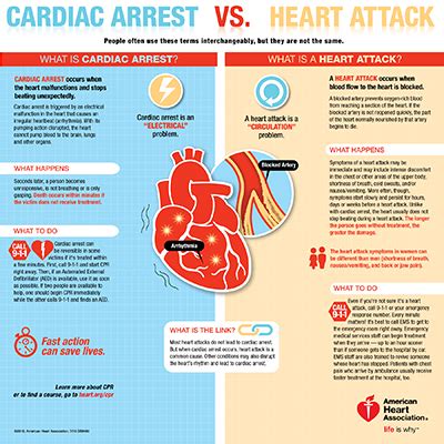 Heart Attack, Cardiac Arrest, and Stroke - Symptoms, Heart, Brain, Medical