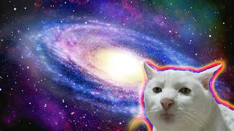 HD wallpaper: cat, space, pets, domestic cat, mammal, animal themes, feline | Wallpaper Flare