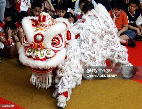 International Lion Dance Competition Photos and Premium High Res ...