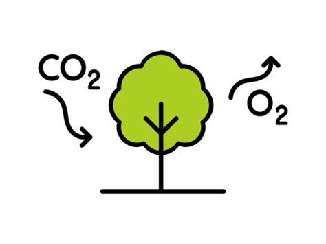 "Carbon Cycle" Images – Browse 1,322 Stock Photos, Vectors, and Video | Adobe Stock