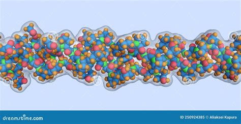 Collagen Structure. The Structure Of The Skin. Infographics. Vector ...