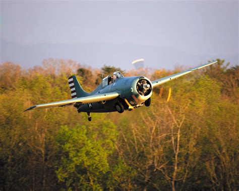 Grumman F4F Wildcat Grumman Aircraft, Navy Aircraft, Wwii Aircraft ...