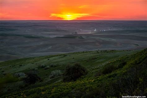 Steptoe Butte State Park