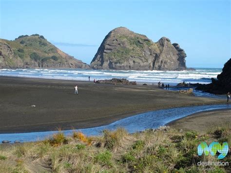 Piha Beach in Auckland | My Guide Auckland