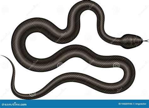 Black Snake Vector Illustration. Stock Vector - Illustration of animal ...