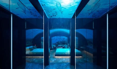 New Underwater Hotel Room Lets You Sleep With The Fishes | YouBentMyWookie