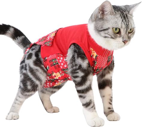 Amazon.com : Mairbero Cat Surgical Recovery Suit - Cat Onesie for Cats ...