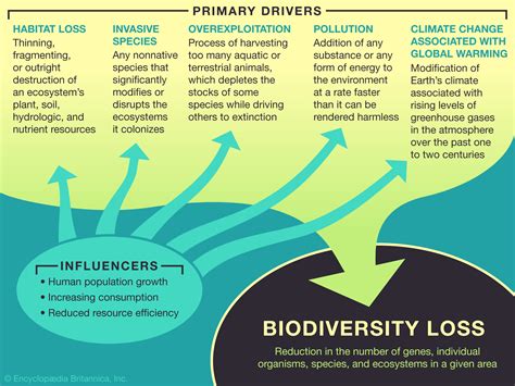 Learn about the causes of Biodiversity Loss - Student Center ...