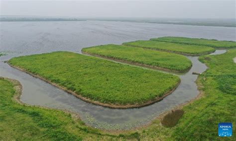 Scenery of Baiyangdian Lake in Xiongan New Area, N China's Hebei ...