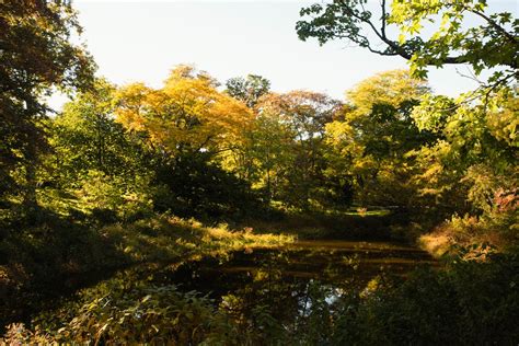 View of Trees and Rivers · Free Stock Photo