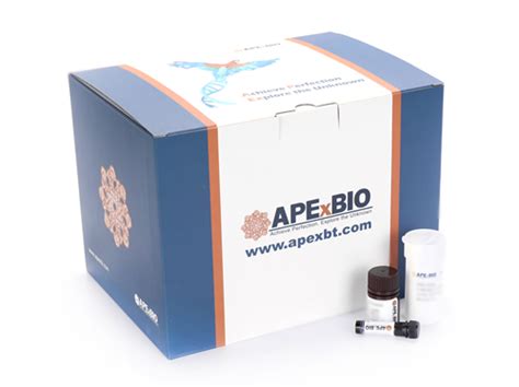 APExBIO - Cell Counting Kit-8 (CCK-8)