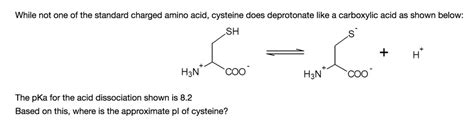 SOLVED: While not one of the standard charged amino acids, cysteine ...