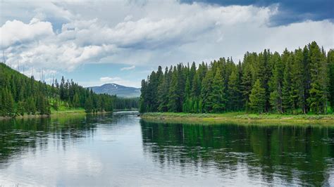 Top Things to do in Yellowstone | The Ultimate Guide | Globetrotting Ginger