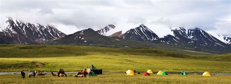 Coronavirus in Mongolia | Update & Notice