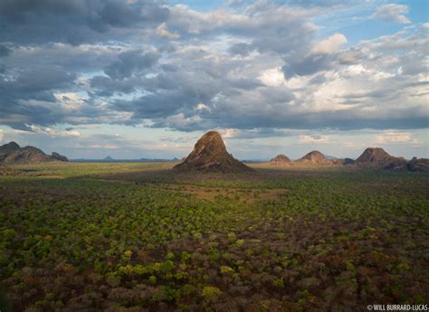 Niassa Reserve | Photos Pictures Images