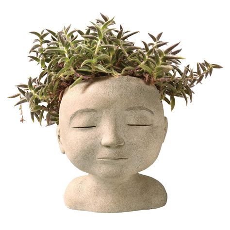 Face and head-shaped planters are the next big trend for house plants and greenery! Here's my ...