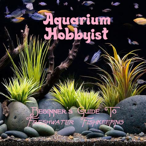 Beginner's Guide To Freshwater Fishkeeping | Aquarium Hobbyist